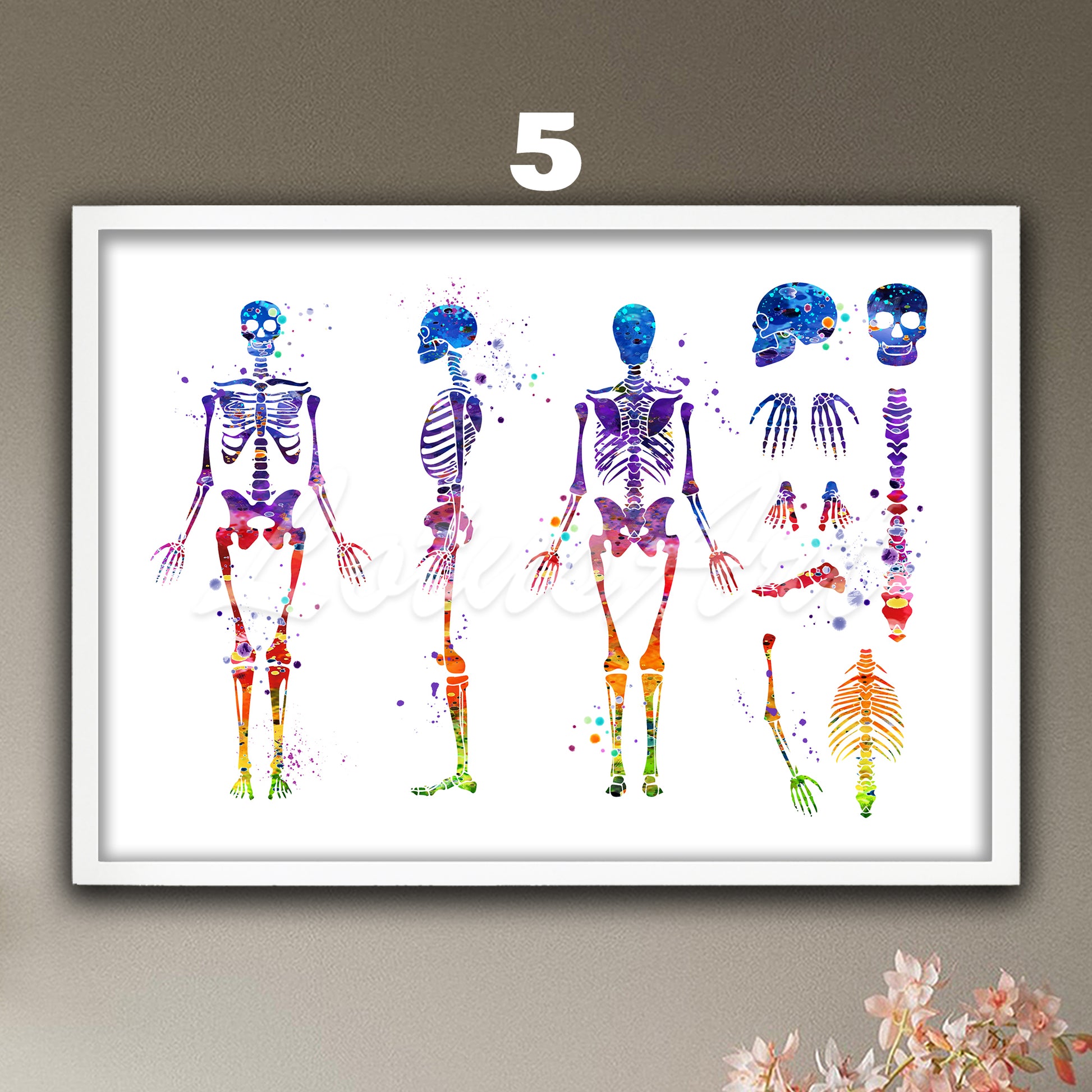 Art print of human skeleton anatomy, watercolor medical painting in rainbow colors of the skeletal system in details.