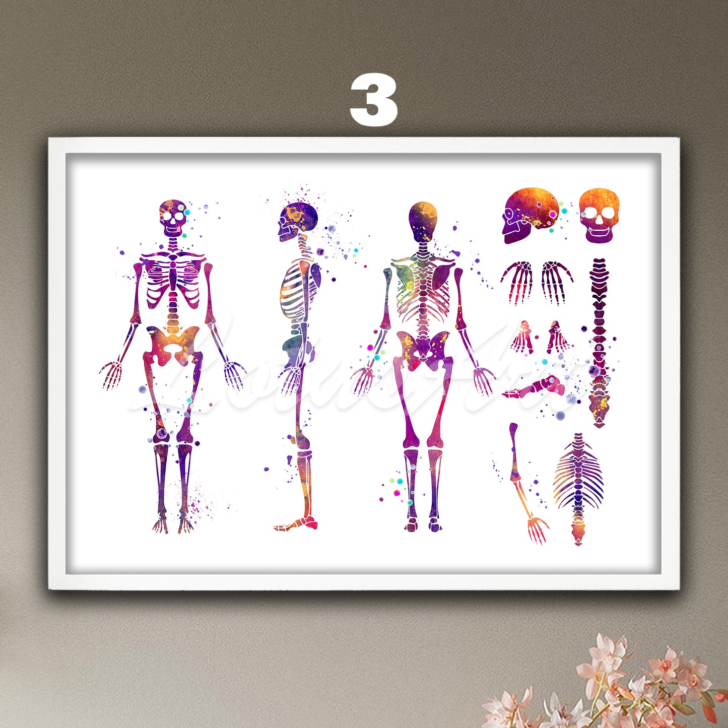 Art print of human skeleton anatomy, watercolor medical painting in purple of the skeletal system in details.