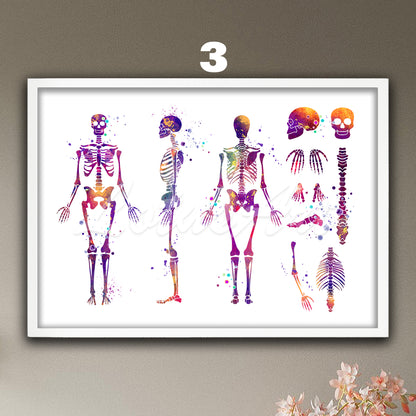 Art print of human skeleton anatomy, watercolor medical painting in purple of the skeletal system in details.