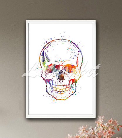 Human skull front view detailed anatomy vibrant multicolor watercolor print - medical educational wall art