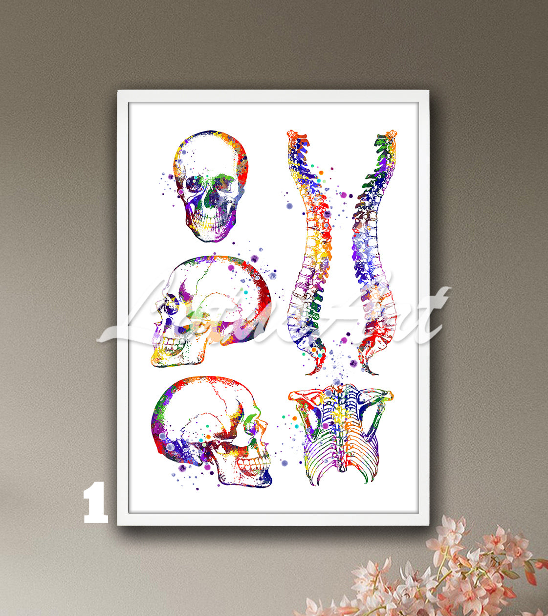 Stunning art print of skull, spine, and rib cage anatomy, multicolored watercolor painting for medical wall decor.