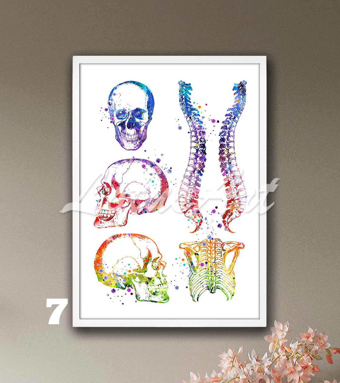 Art print of skull, spine, and rib cage anatomy, watercolor painting in rainbow colors for medical wall decor.