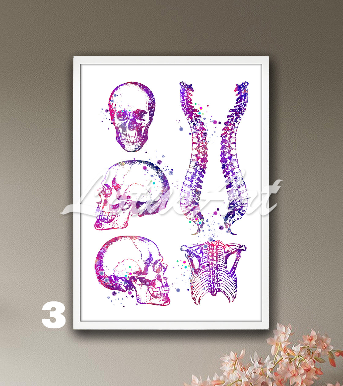 Art print of skull, spine, and rib cage anatomy, watercolor painting in purple for medical decor.