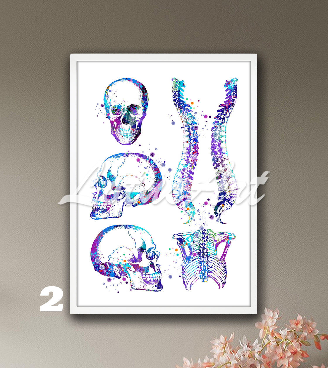 Art print of skull, spine, and rib cage anatomy, blue- purple watercolor painting for medical wall decor.