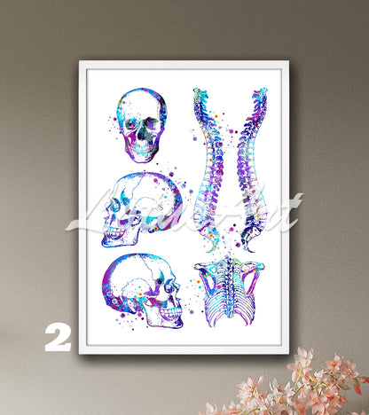 Art print of skull, spine, and rib cage anatomy, blue- purple watercolor painting for medical wall decor.