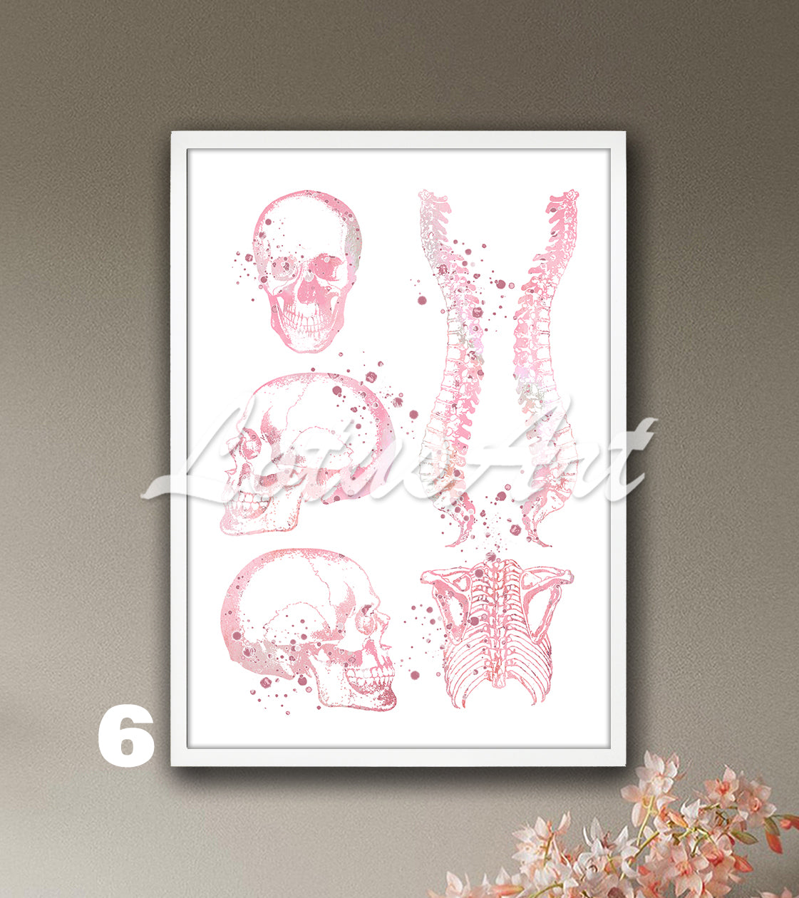 Skull spine and rib cage anatomy watercolor art print in soft pink tones, medical wall decor for clinics & doctors gift