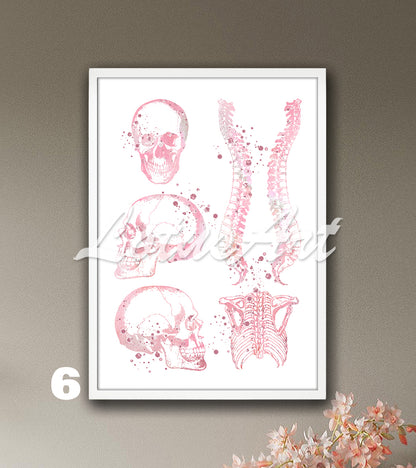 Skull spine and rib cage anatomy watercolor art print in soft pink tones, medical wall decor for clinics & doctors gift