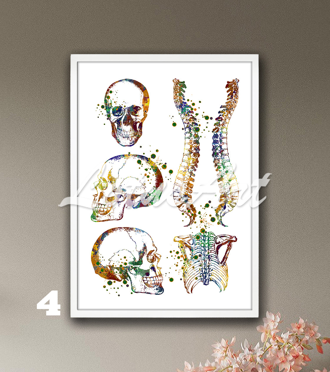 Skull spine and rib cage anatomy watercolor decor in earth tones, medical wall decor for clinics & doctors gift