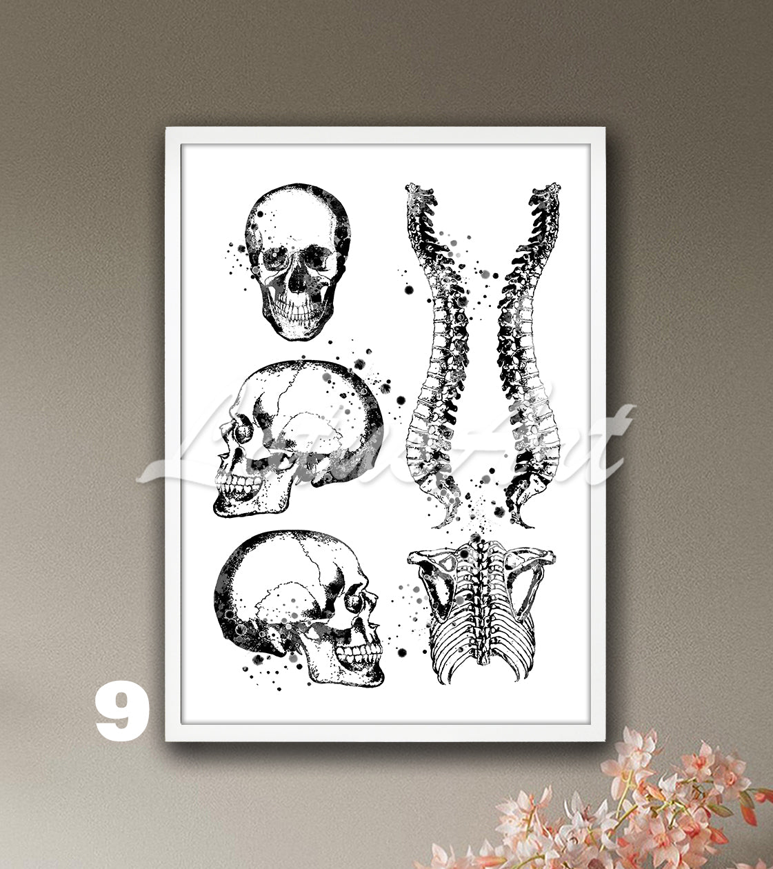 Skull spine and rib cage anatomy watercolor poster in black and white, medical wall decor for clinics & doctors gift