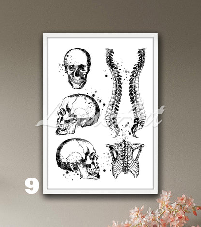 Skull spine and rib cage anatomy watercolor poster in black and white, medical wall decor for clinics & doctors gift