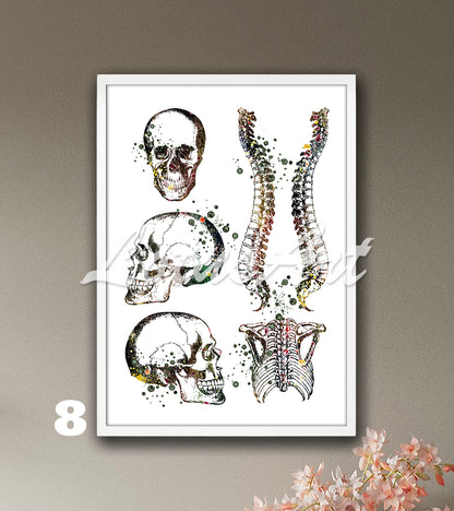Skull spine and rib cage anatomy watercolor print in brown tones, medical wall decor for clinics & doctors office gift