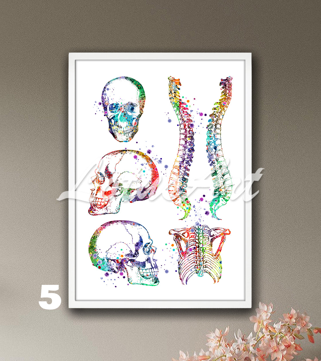 Skull spine and rib cage anatomy watercolor wall art in briht multicolor tones, medical wall decor for clinics & doctors gift