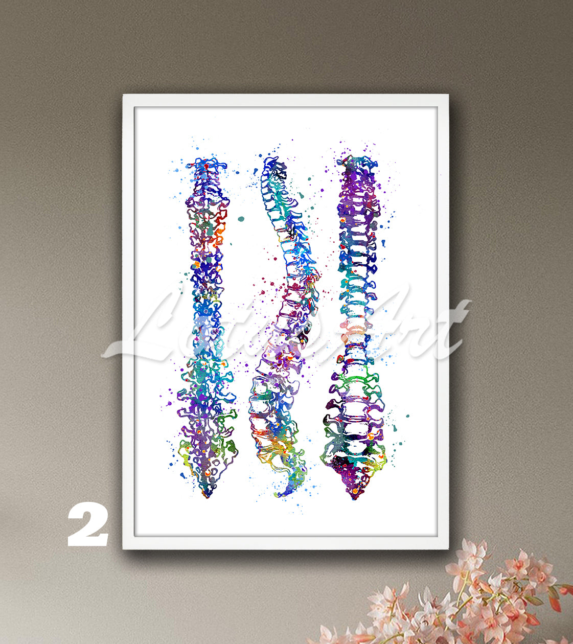 Spine Anatomy Watercolor Art Print – Medical Poster for Orthopedics Clinics