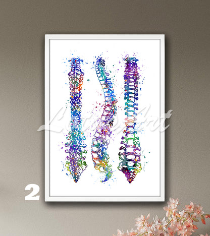 Spine Anatomy Watercolor Art Print – Medical Poster for Orthopedics Clinics