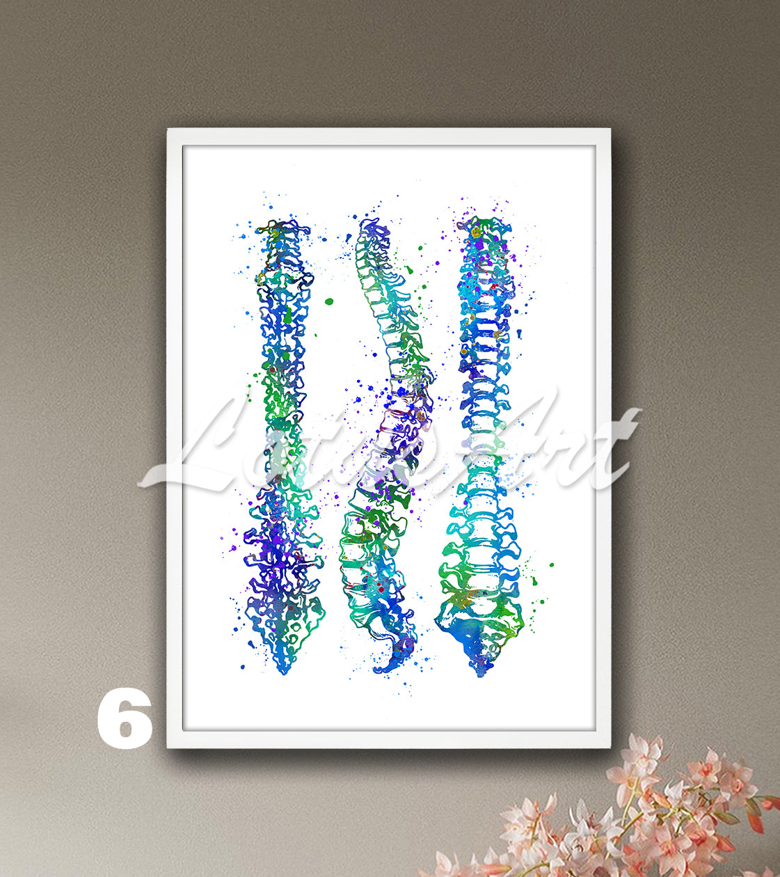 Spine Anatomy Watercolor Art Print – Medical Poster for Orthopedics Clinics
