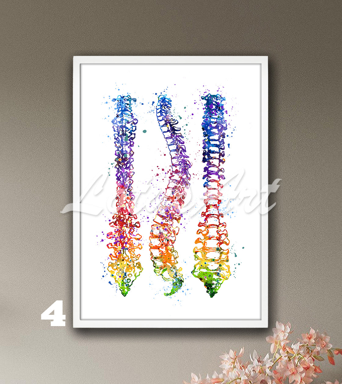 Spine Anatomy Watercolor Art Print – Medical Poster for Orthopedics Clinics
