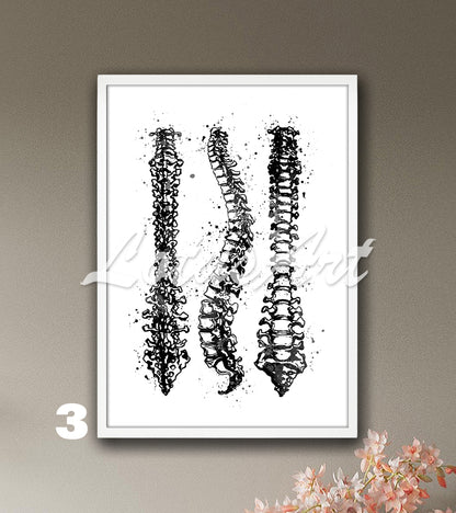 Spine Anatomy Watercolor Art Print – Medical Poster for Orthopedics Clinics