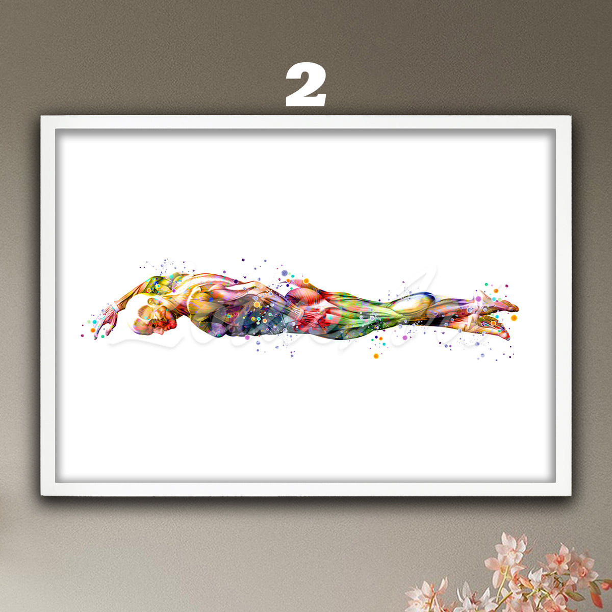 Swimmer body muscles anatomy watercolor painting in multicolor tones, medical sports wall art & doctor office decor