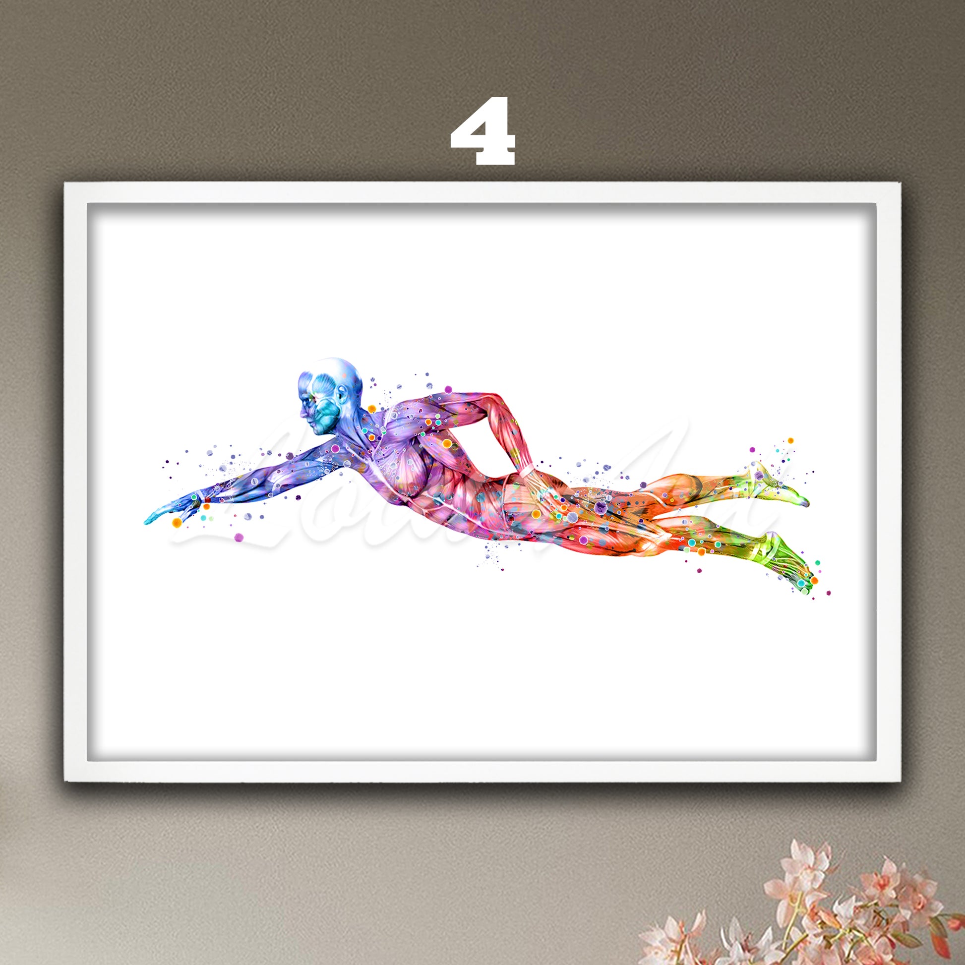 Female swimming body muscles anatomy wall art print of rainbow sports medical watercolor painting.