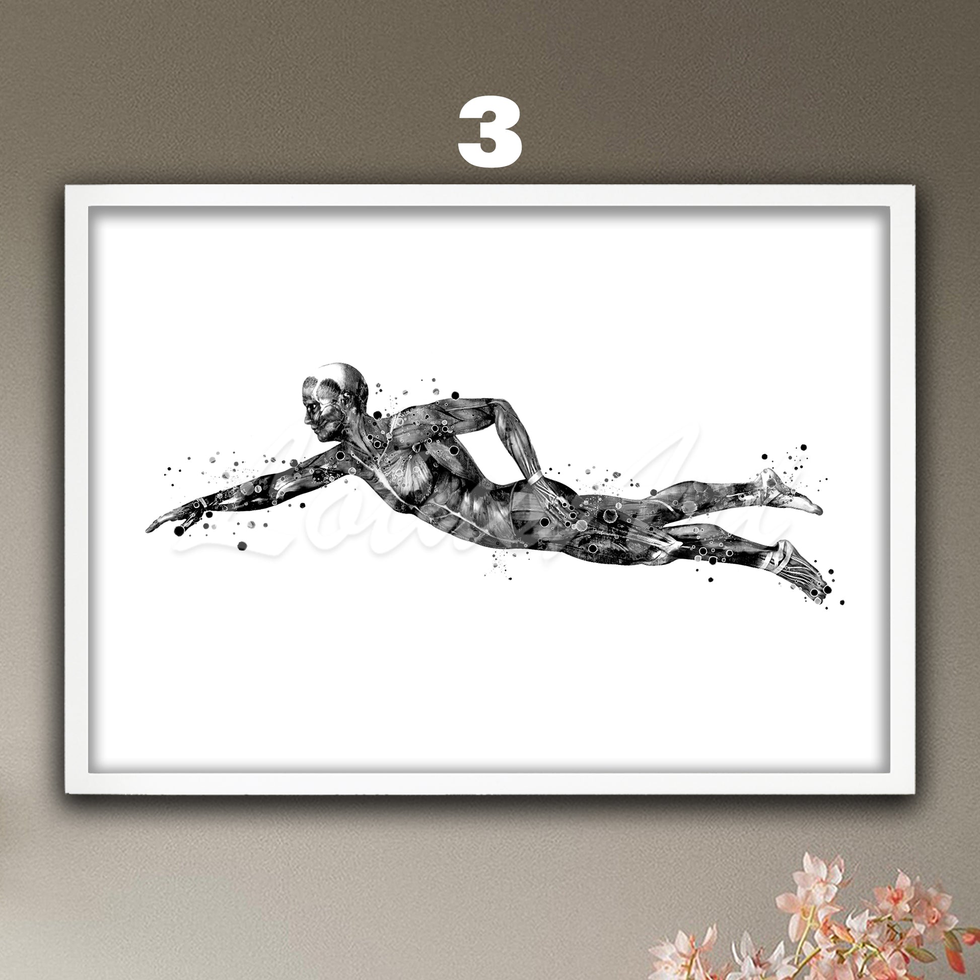 Female swimming body muscles anatomy art print of black-white sports medical watercolor wall decor.