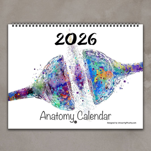 2026 anatomy wall calendar cover, synapse brain cell, multicolor medical watercolor art, clinic decor