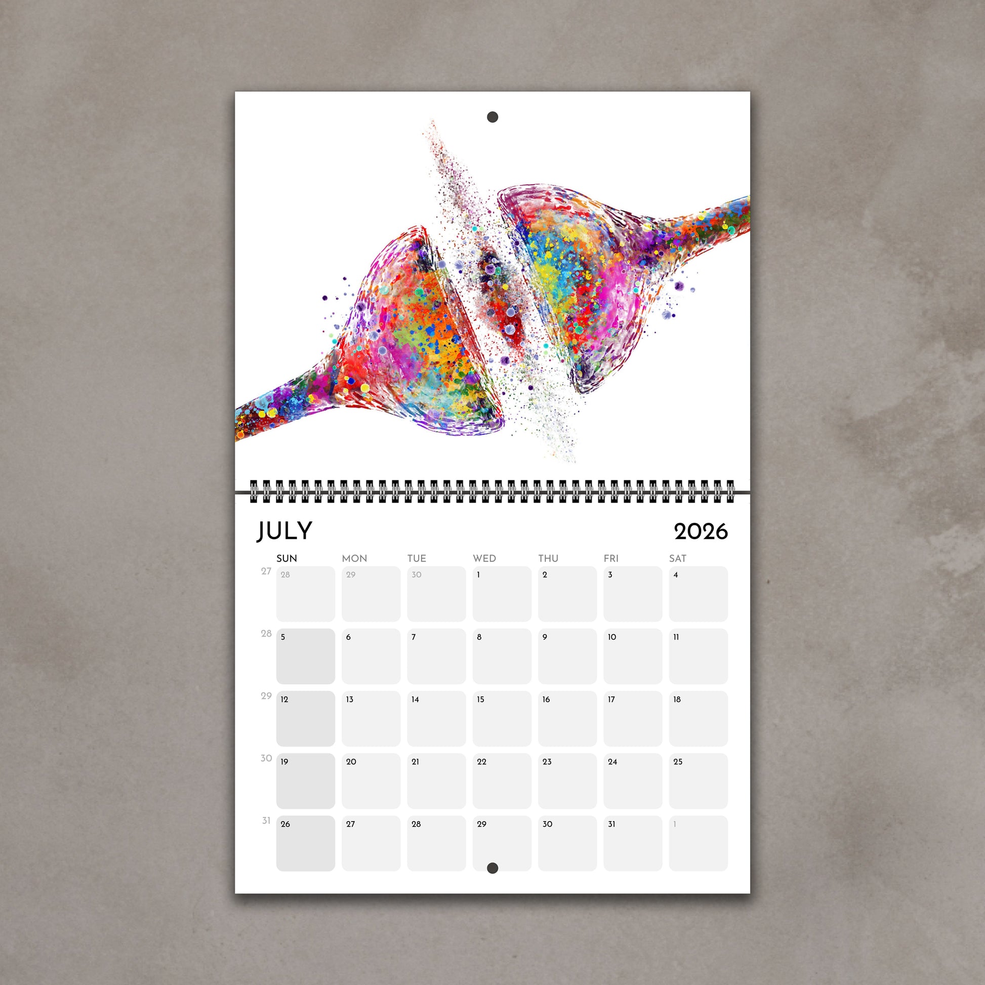 2026 anatomy wall calendar showing watercolor synapse brain cell medical watercolor illustration