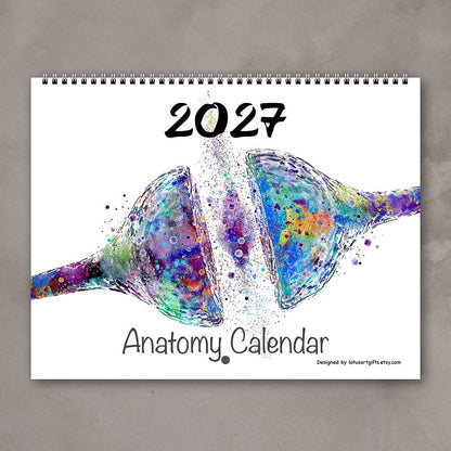 2027 anatomy wall calendar cover, synapse brain cell, multicolor medical watercolor art, clinic decor