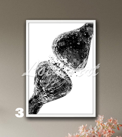 Black-white art print of watercolor painting of synapse brain nerve cells receptor – artistic science wall decor.