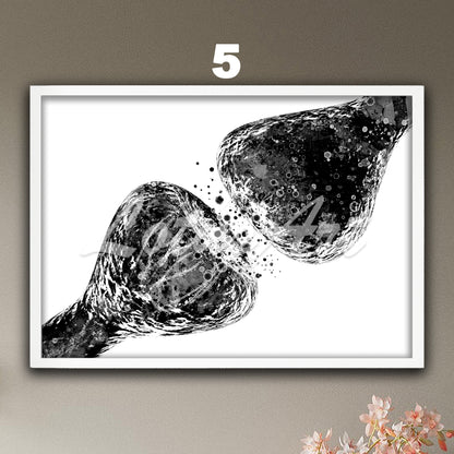 Synapse neuron anatomy art print – black-white minimalist style – modern neuroscience wall art.