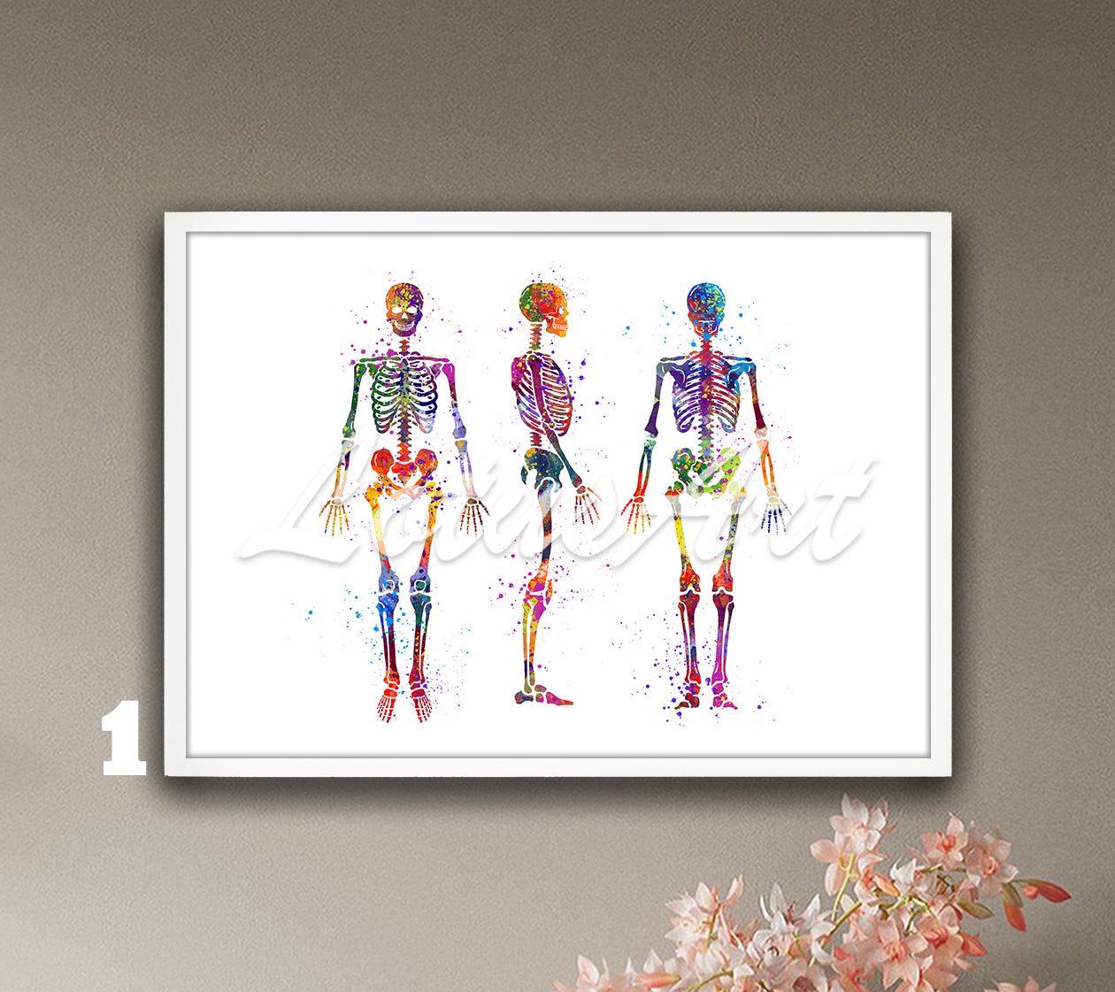 Three human skeletons standing poses vibrant multicolor watercolor art print - chiropractic office artwork