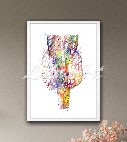 Thyroid gland posterior view anatomy in multicolor watercolor - medical office artwork
