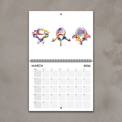 2026 anatomy wall calendar pages with vertebrae of spine watercolor illustrations