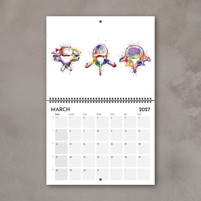 2027 anatomy wall calendar pages with vertebrae of spine watercolor illustrations