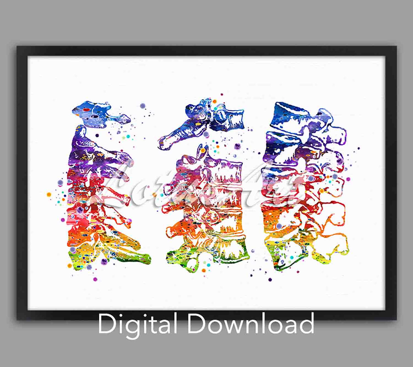Cervical thoracic lumbar vertebrae watercolor in rainbow, anatomy artwork, digital download, chiropractic & orthopedic decor