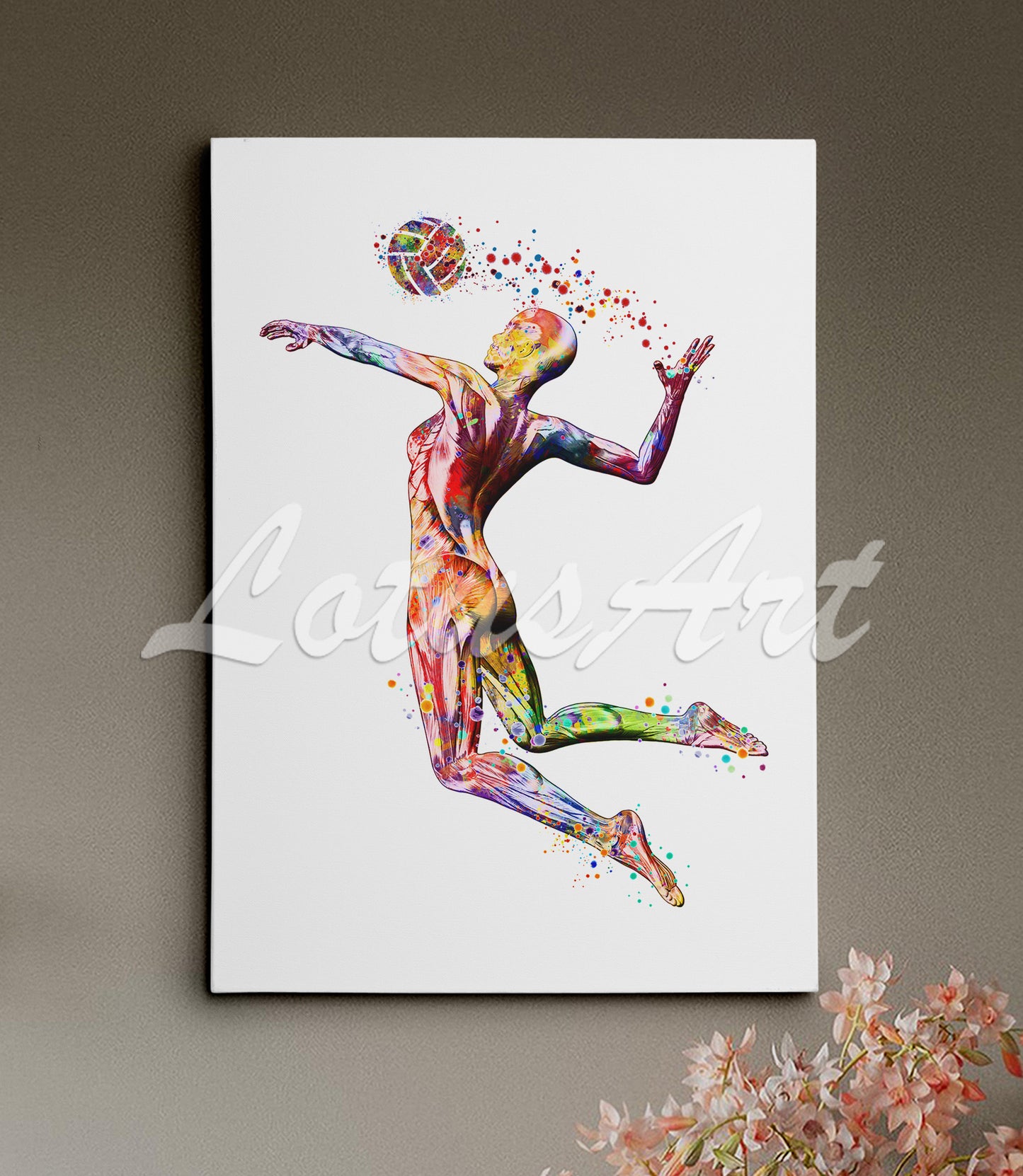 Female volleyball athlete muscles anatomy watercolor canvas - detailed musculature sports art print