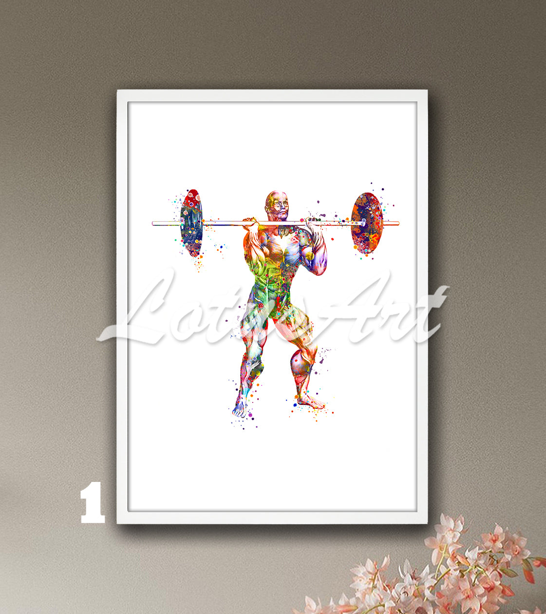 Multicolor watercolor print showing the anatomy of the muscles of the body of a male weightlifter.