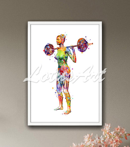 Weightlifter muscles anatomy with barbell multicolor watercolor - sports rehabilitation artwork