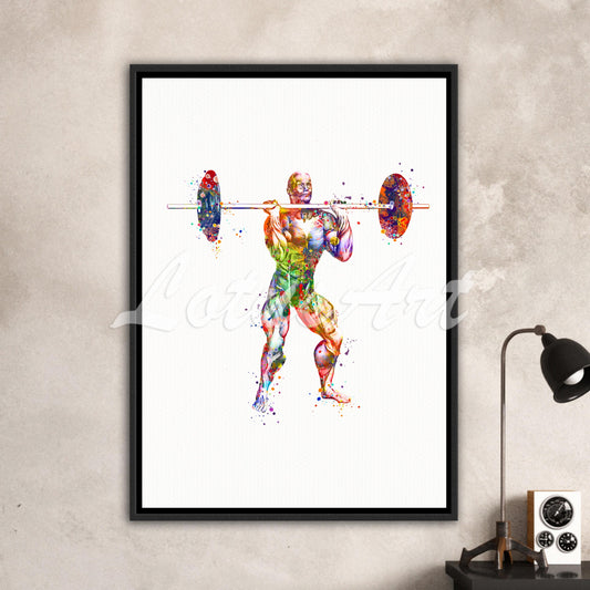 Weightlifter body muscles anatomy canvas print, multi-color watercolor of powerlifting sports medical watercolor art.
