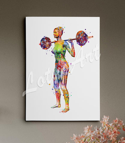Body muscles anatomy canvas print of a female weightlifter, colorful watercolor art of sports medical painting.