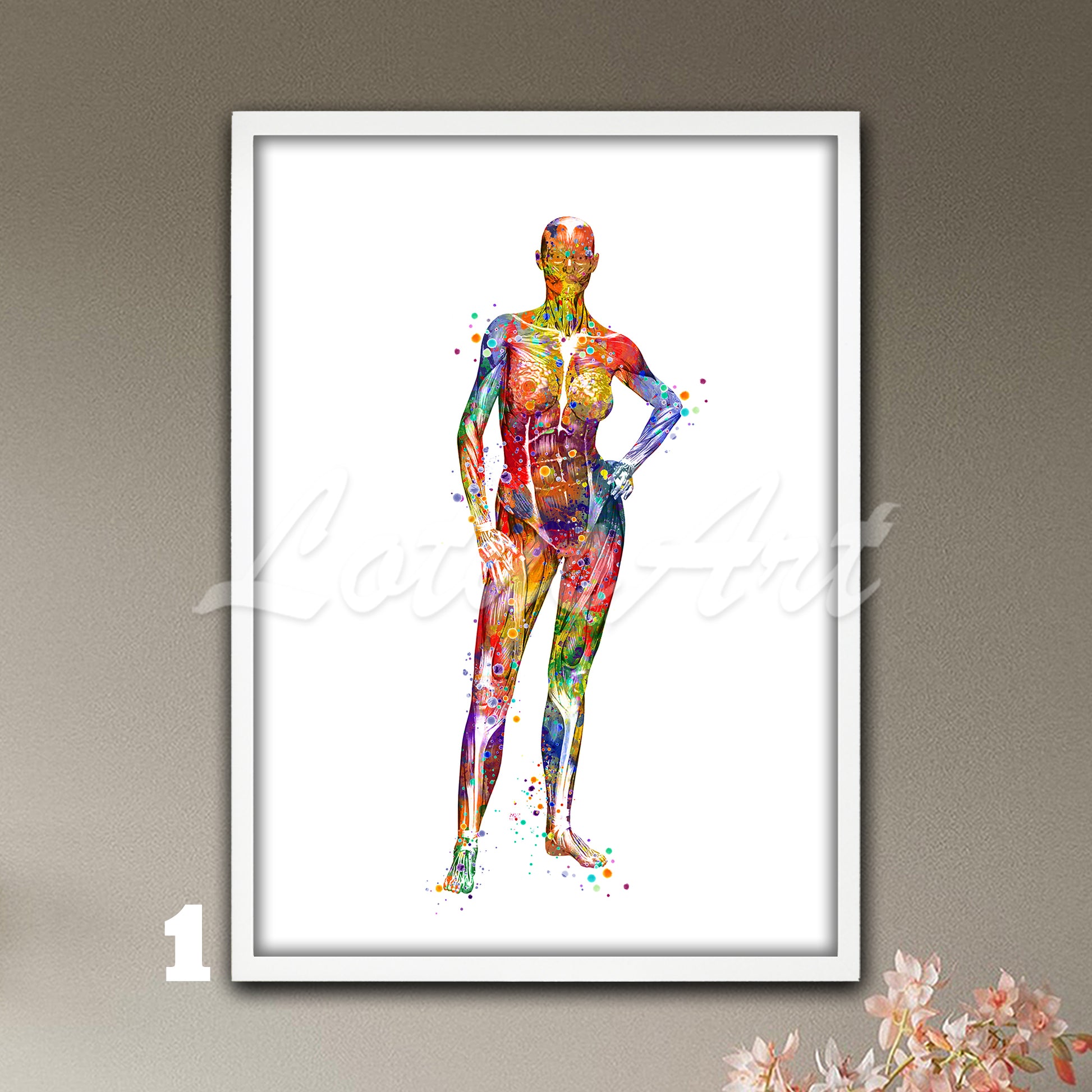 Multicolored watercolor medical artwork showing the anatomy of the muscles of a female body.