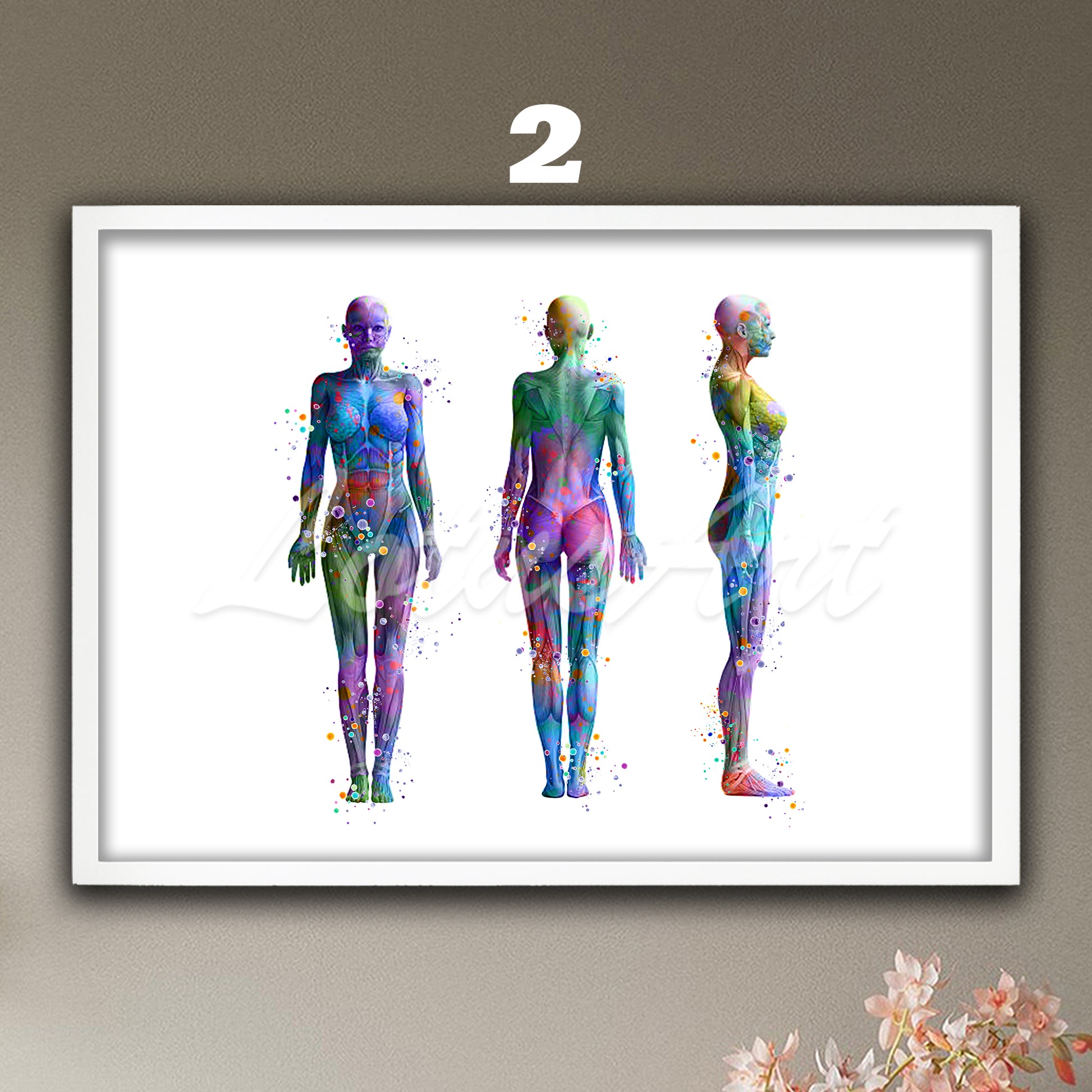 Watercolor medical painting depicting anatomy of the muscles of a woman in front, profile and back view.