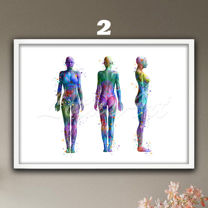Watercolor medical painting depicting anatomy of the muscles of a woman in front, profile and back view.