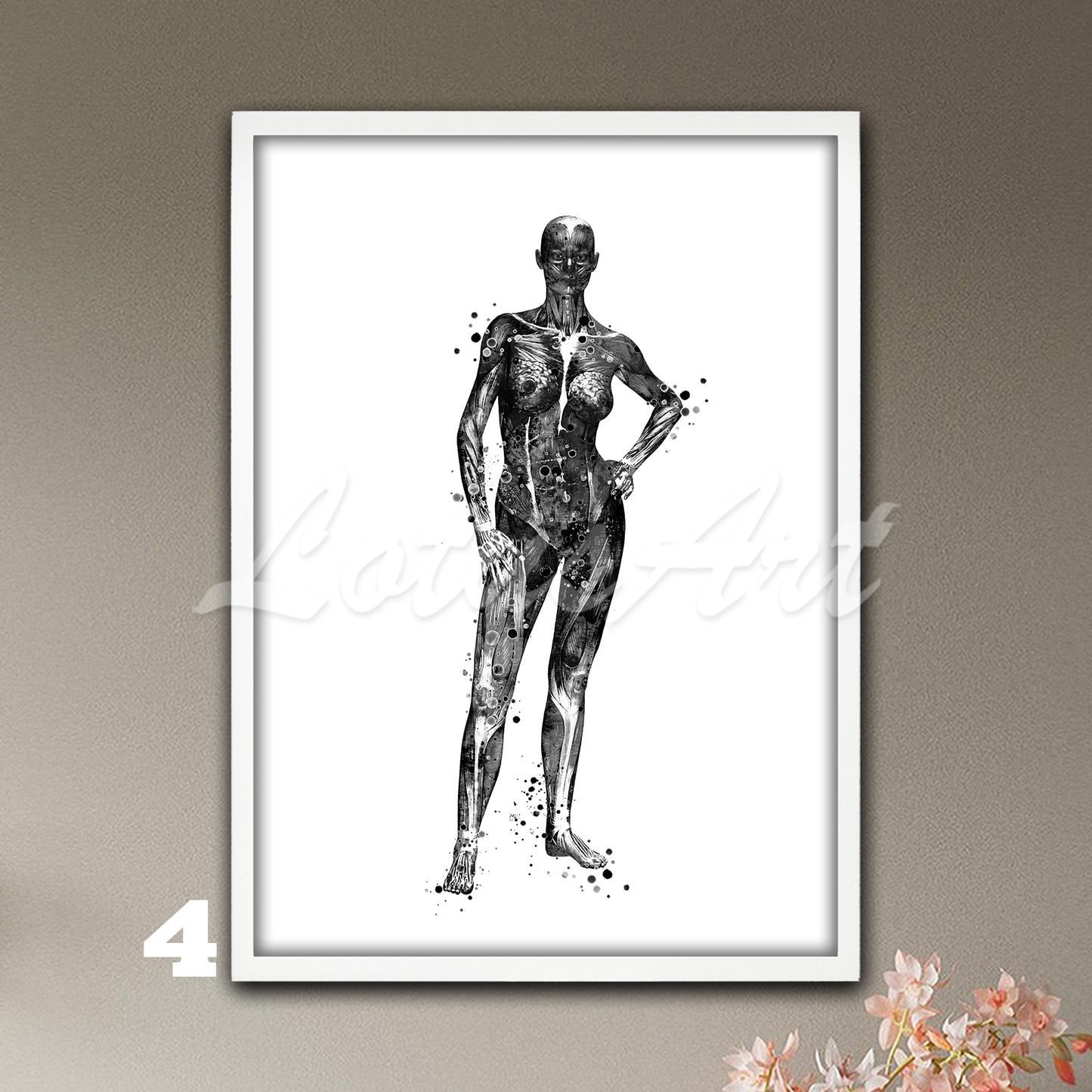 Black-white watercolor medical illustration depicting the female body with detailed muscle anatomy.