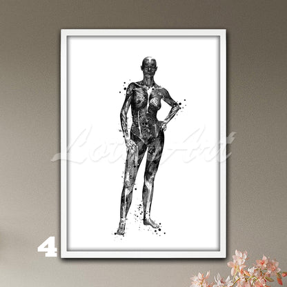 Black-white watercolor medical illustration depicting the female body with detailed muscle anatomy.